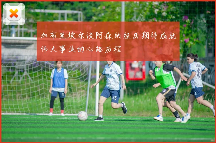 加布里埃尔谈阿森纳经历期待成就伟大事业的心路历程